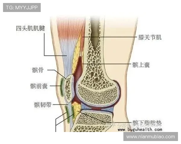 马努布埃诺右膝胫骨骨水肿解读